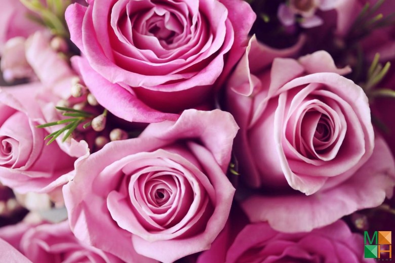 Tranh dán tường trang trí phòng ngủ FW - 067